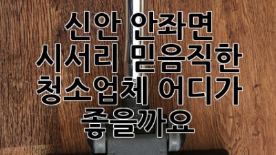 신안 안좌면 시서리 믿음직한 청소업체, 어디가 좋을까요? ✨